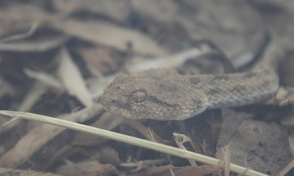 2014-10-21-941CITES 4.jpg